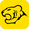 Logo TigerWit – Forex Trading &More